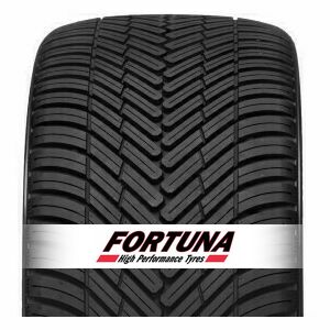 205/55R17 FORTUNA GOWIN UHP 95V XL **WINTER**