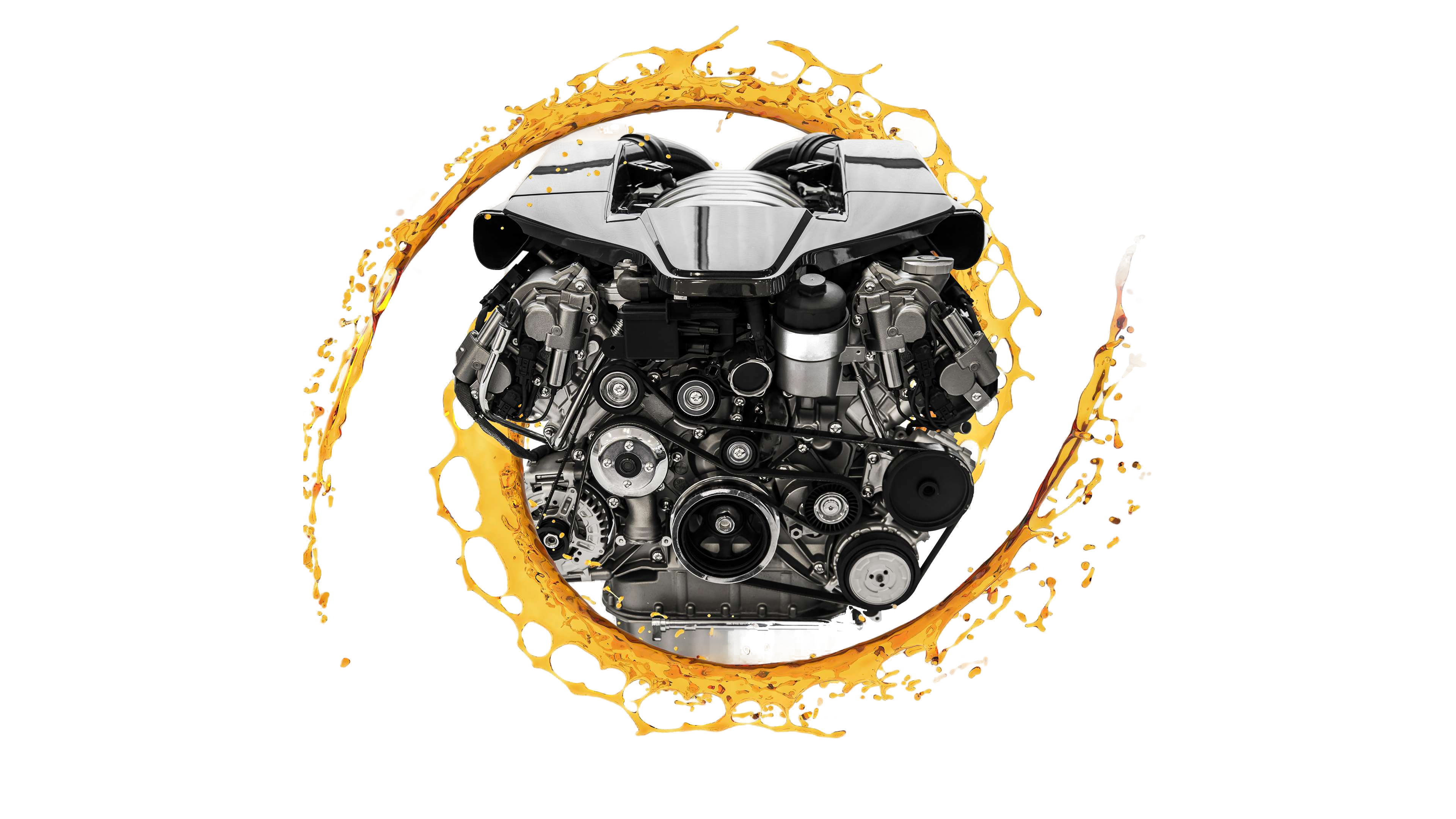 Engine flush service